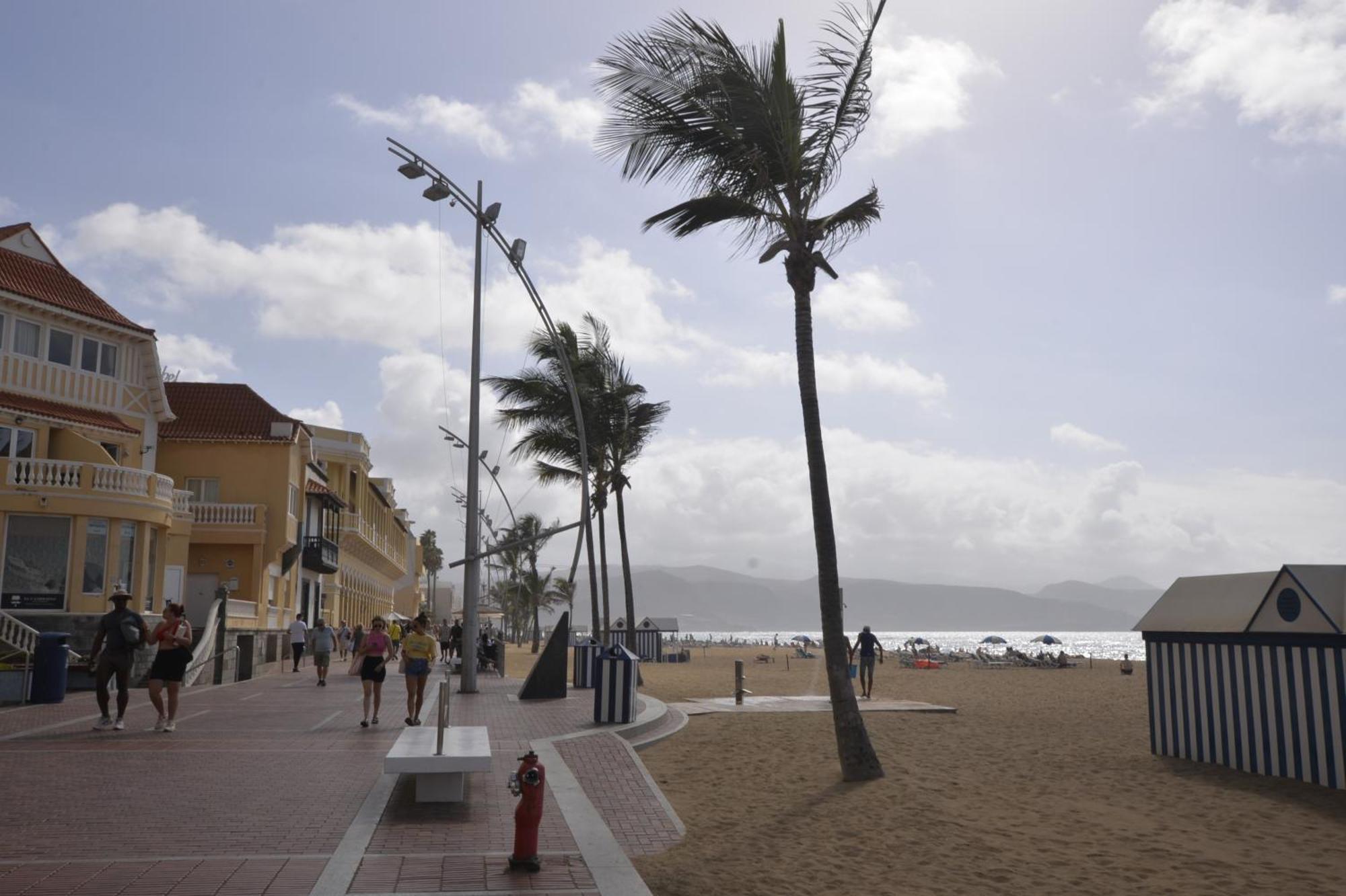 Apartamento Maralma Las Palmas de Gran Canaria Dış mekan fotoğraf